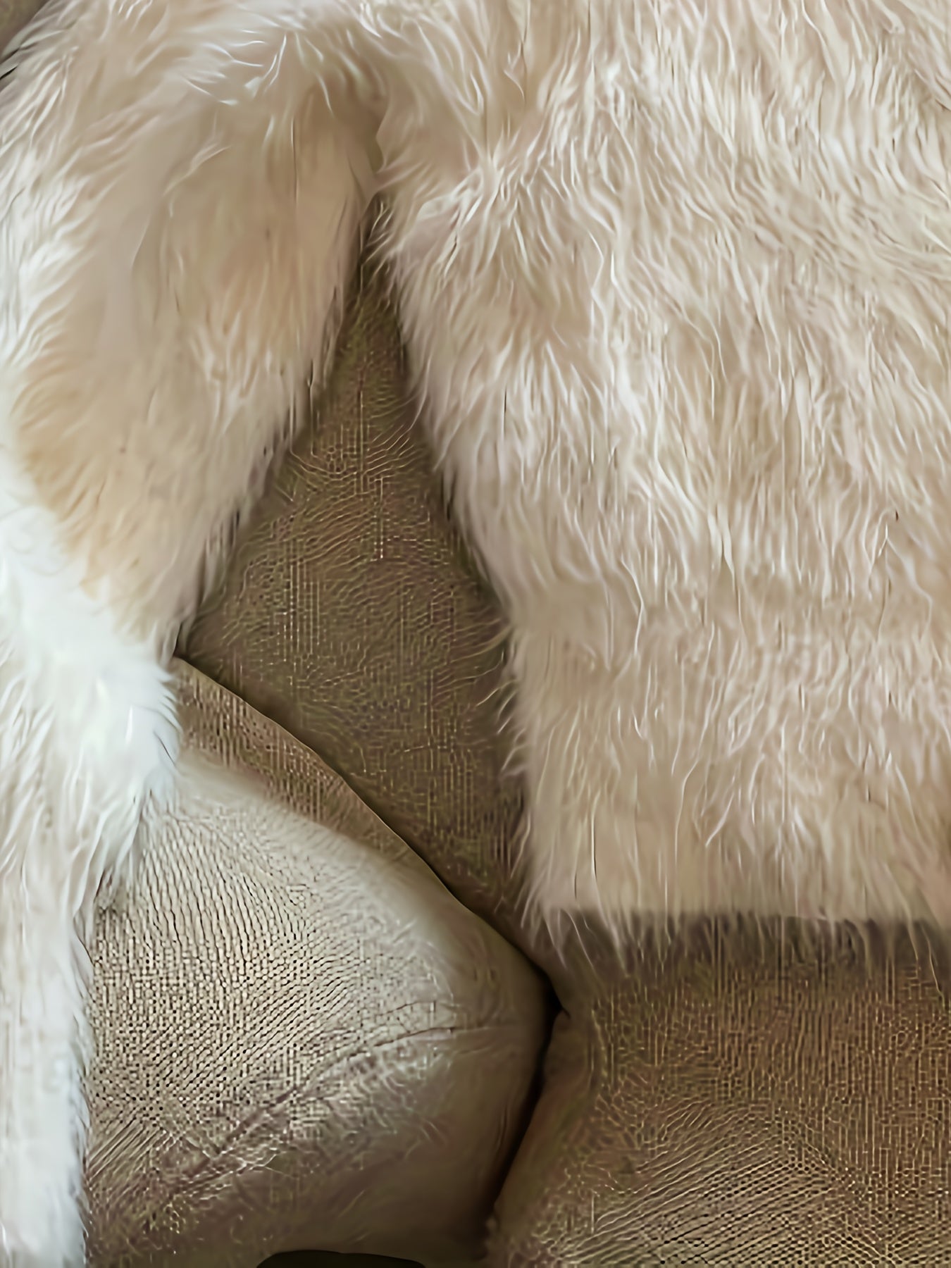 V-Neck Short Cardigan