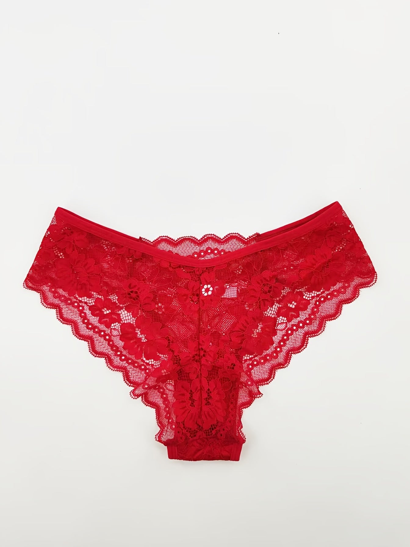 Sheer Jacquard Lace Bikini Panties
