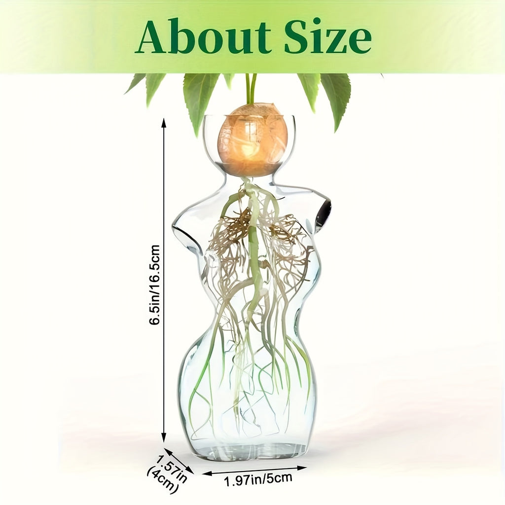 Transparent Avocado-Shaped Glass Vase