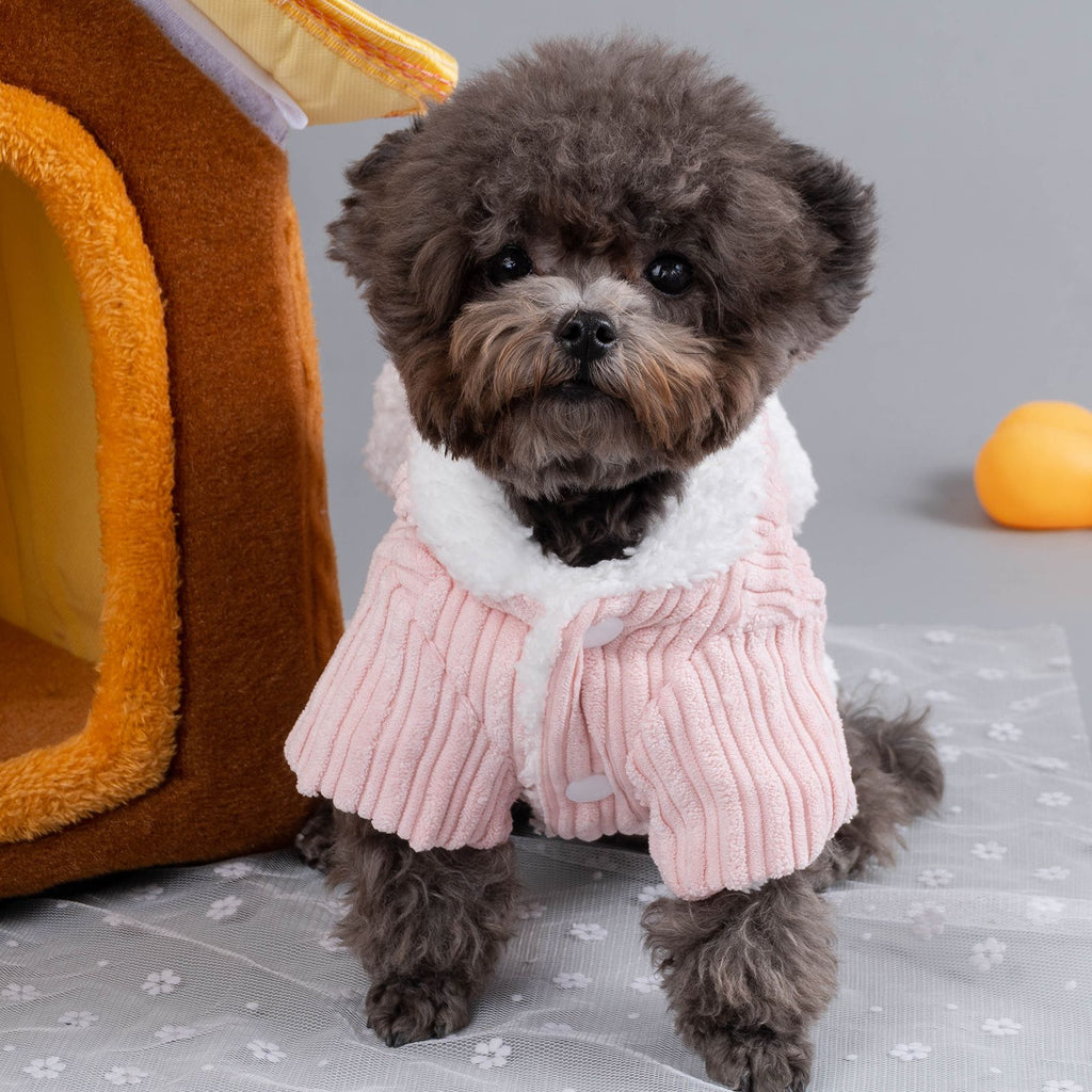 Pet Hoodie With Rabbit Ears