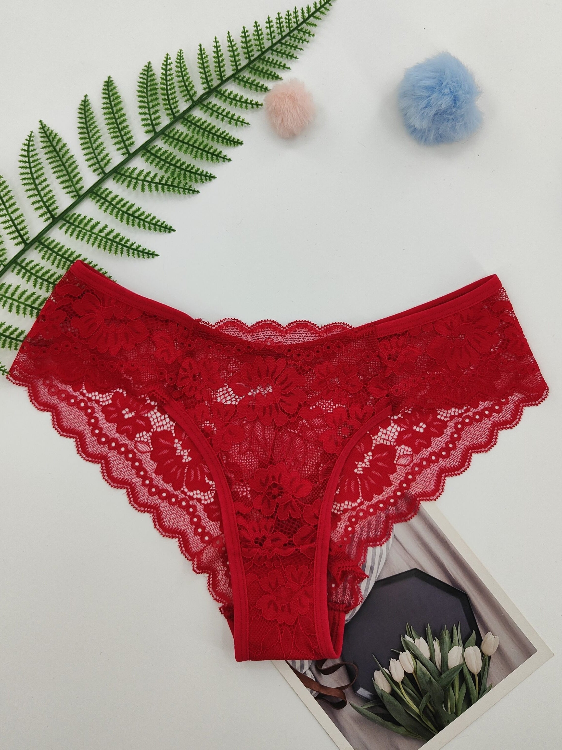 Sheer Jacquard Lace Bikini Panties