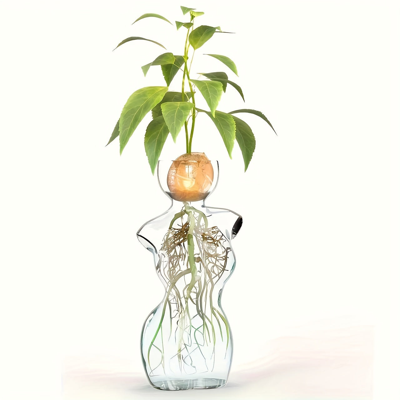 Transparent Avocado-Shaped Glass Vase