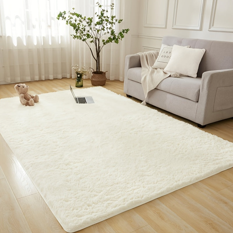 Shaggy Plush Rug