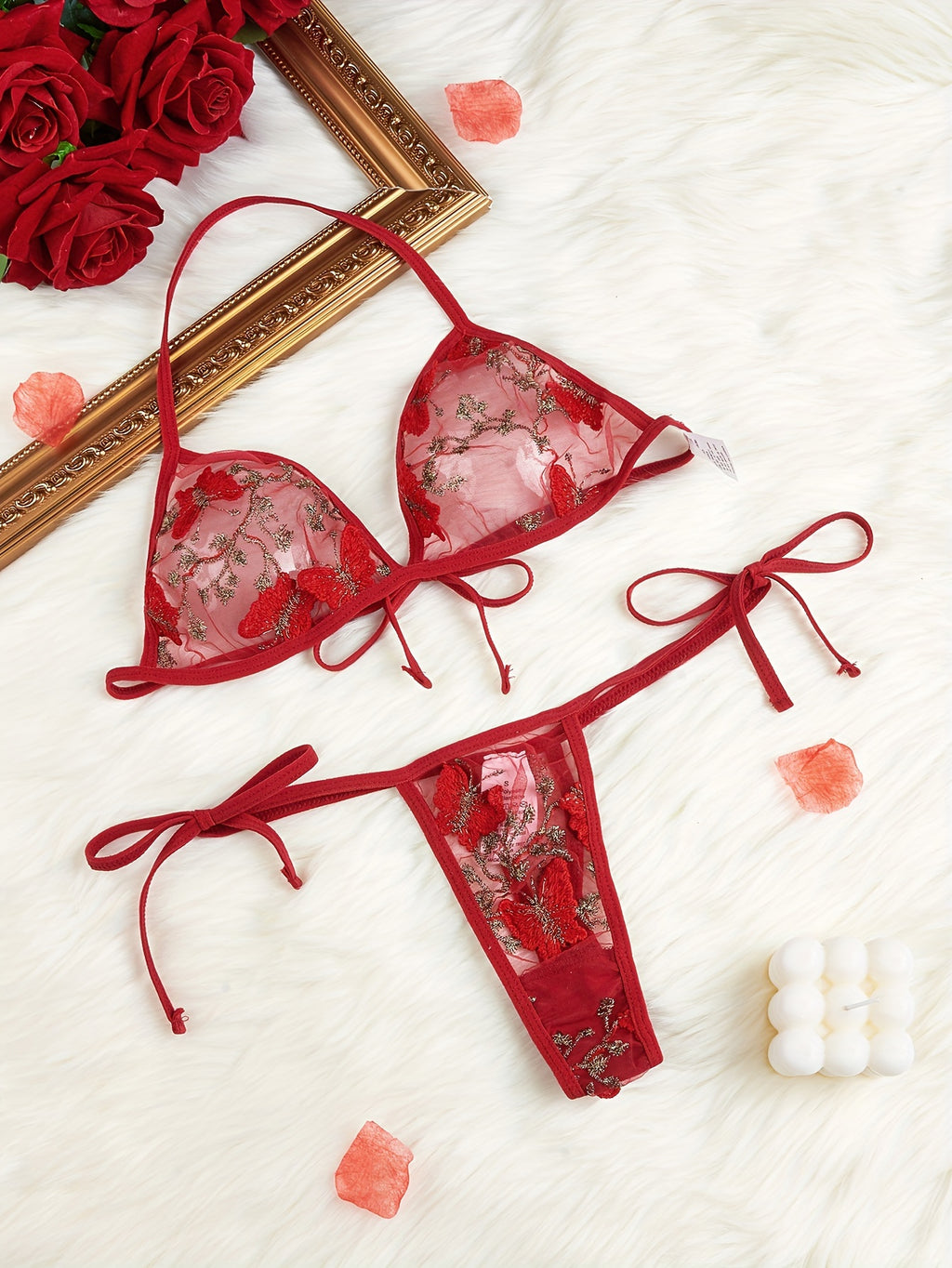 Butterfly Embroidery Transparent Lingerie Set