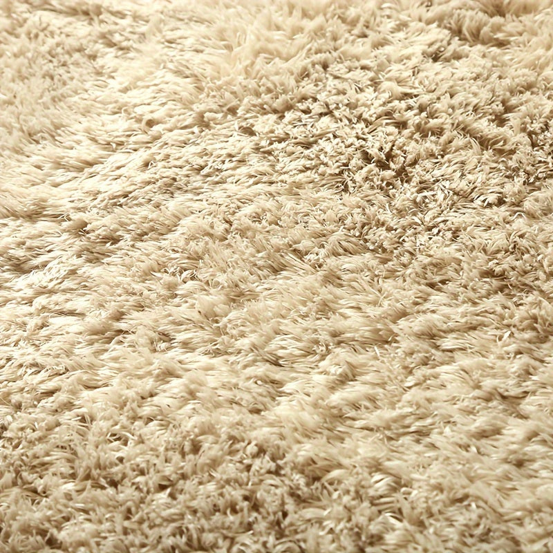 Shaggy Plush Rug