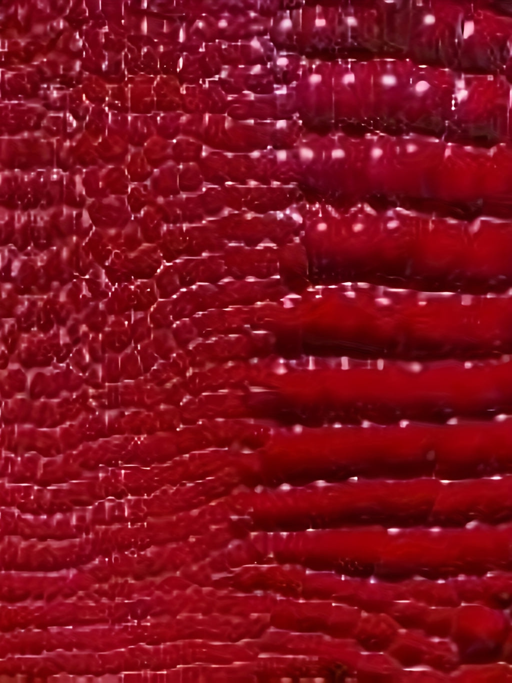 Crocodile Pattern Embossed Bomber Jacket