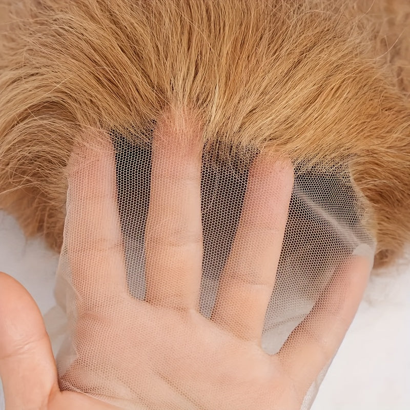 13x6 Body Wave Honey Blonde Wig