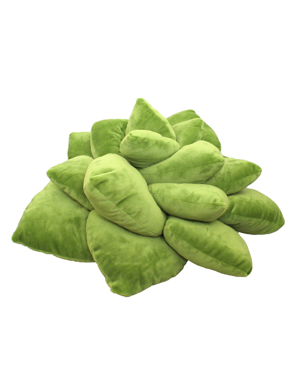 Big Pop Succulent® - Olive Green