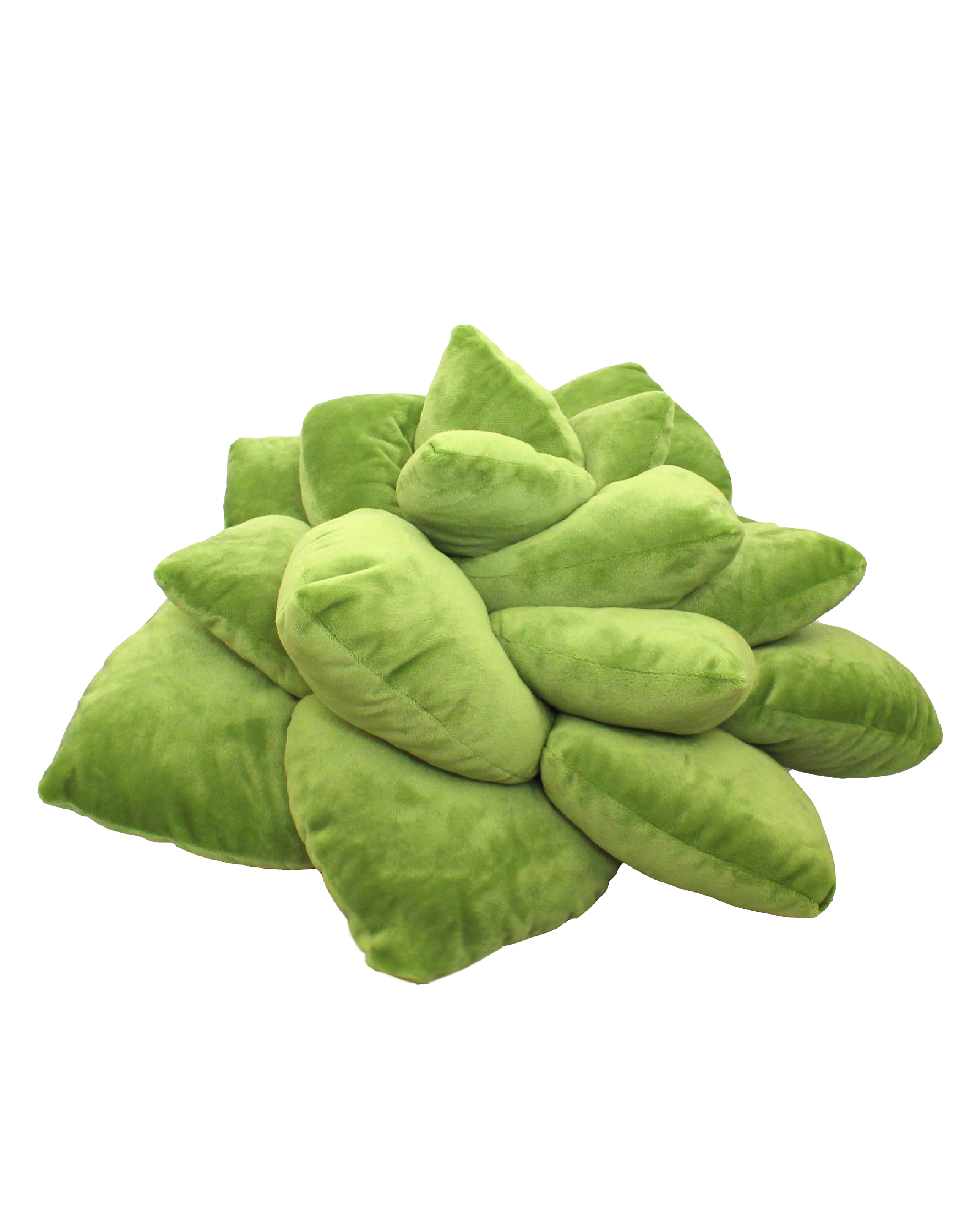 Big Pop Succulent® - Olive Green