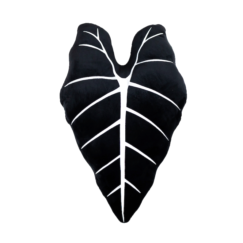 Alocasia Frydek - Obsidian