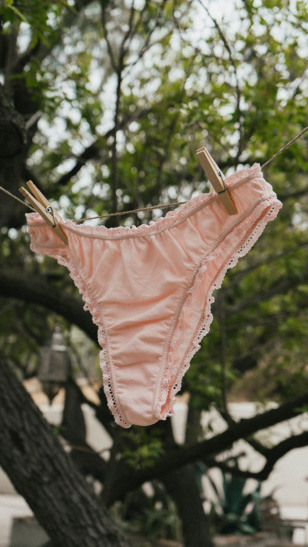 The powder pink frilly panties