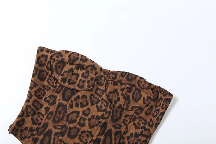 Leopard Print Corset Top