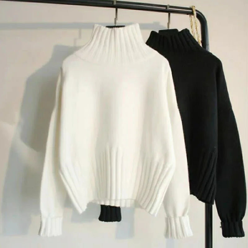 Loose Fit Knitted Pullover Turtleneck