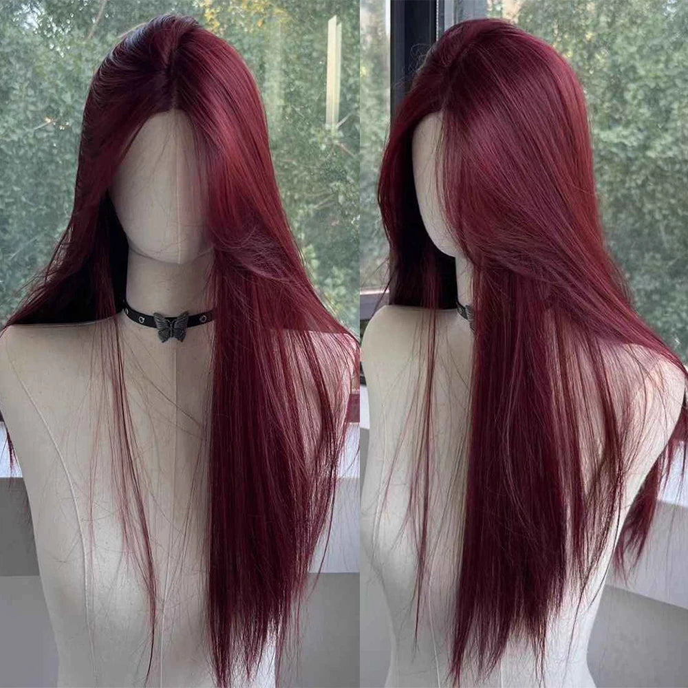 Long Straight Lace Front Wig
