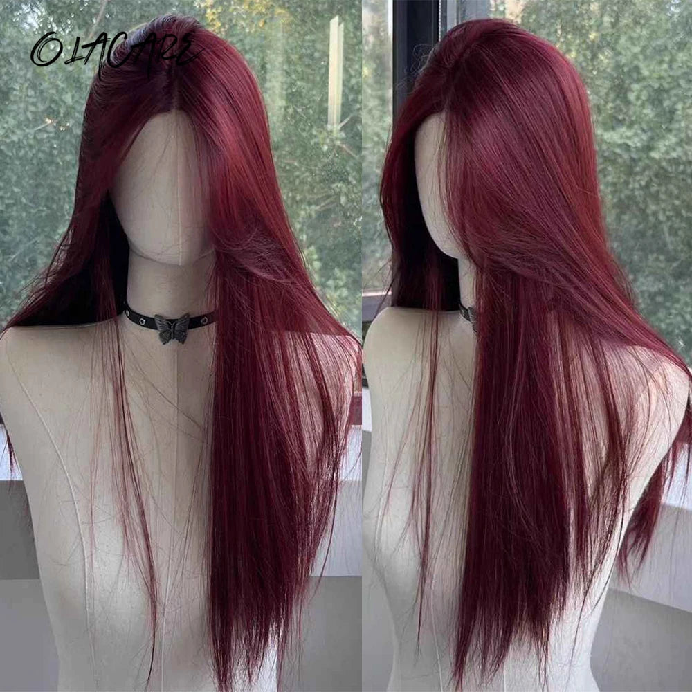 Long Straight Lace Front Wig