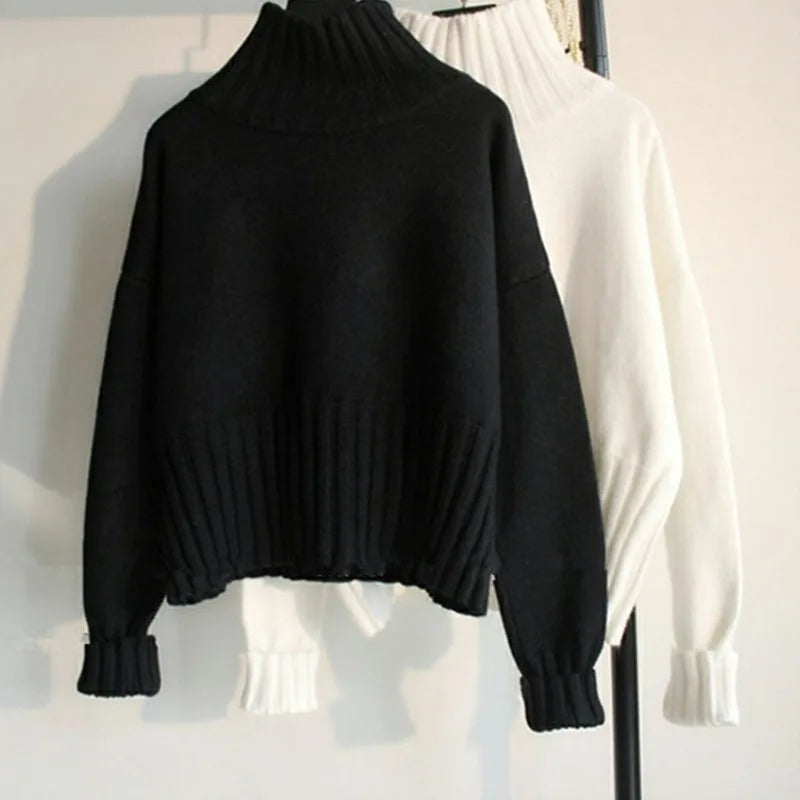 Loose Fit Knitted Pullover Turtleneck