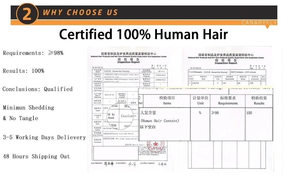 Burgundy Brazilian Straight Wig