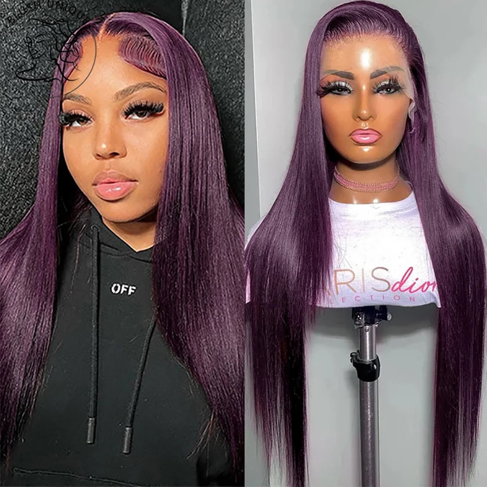 Straight Lace Front Wig