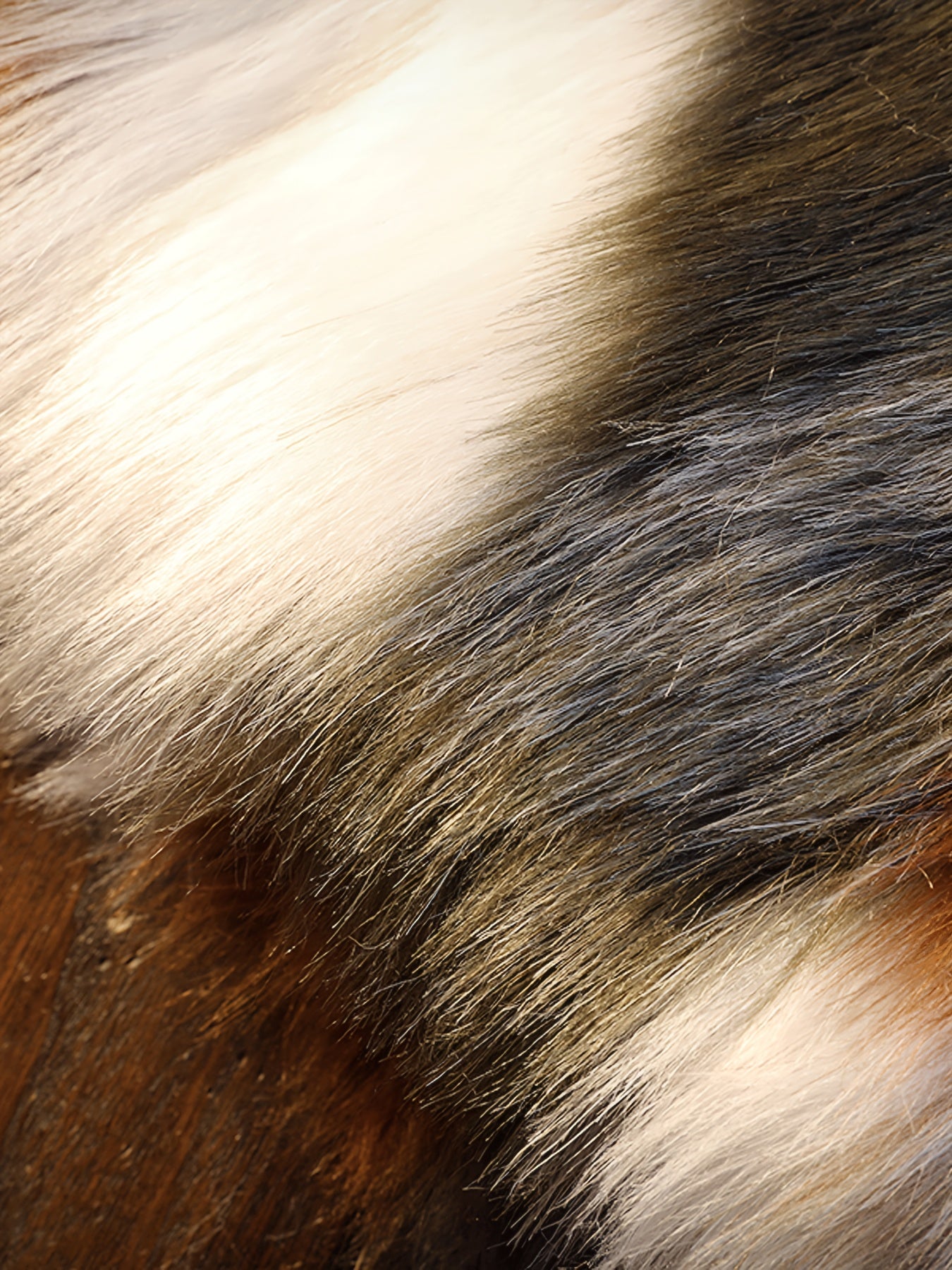 Faux Fur Hooded Vest