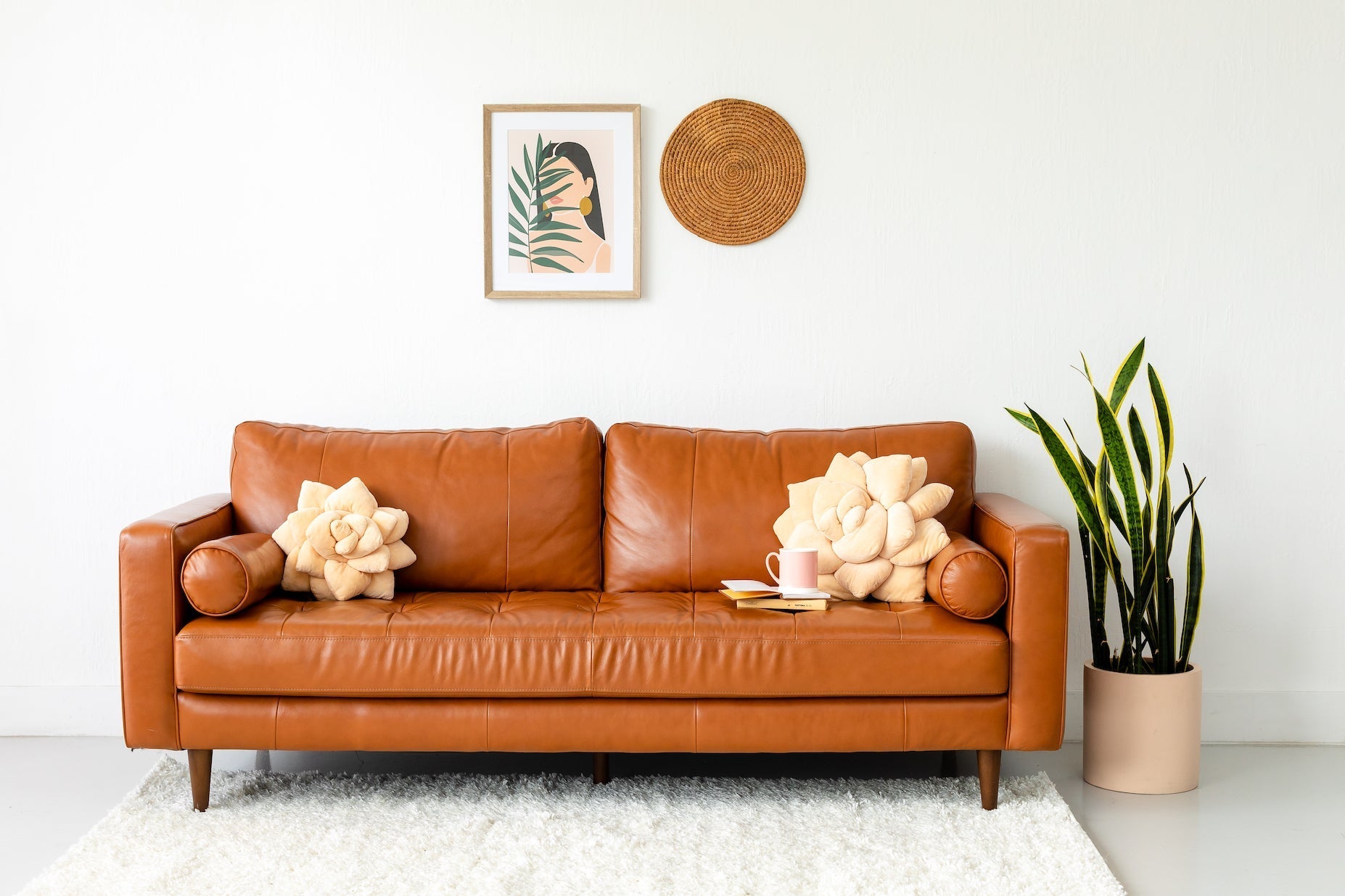 Big Pop Succulent® - Blush Peach