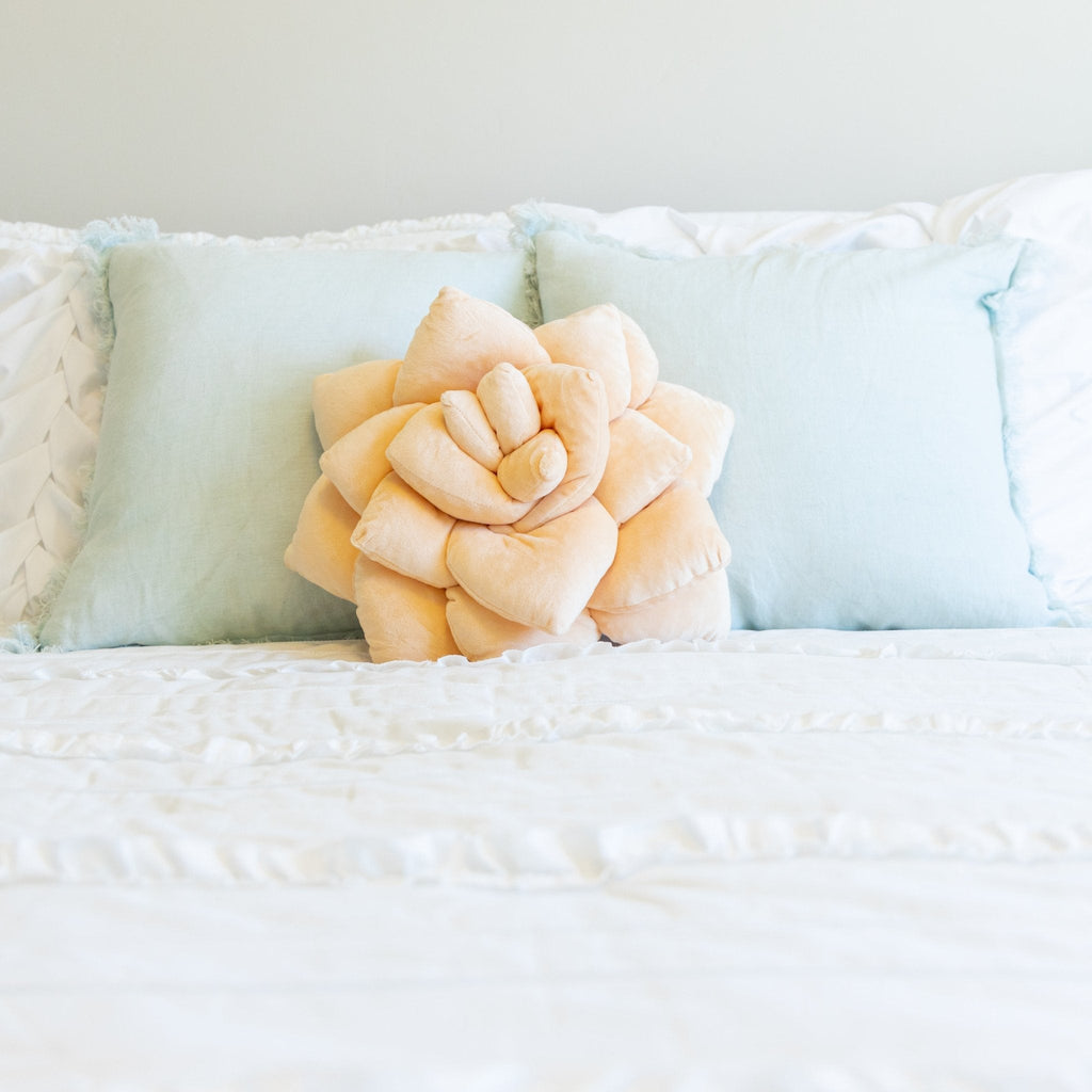 Lil' Pop Succulent® - Blush Peach