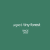 super tiny forest - ホーム