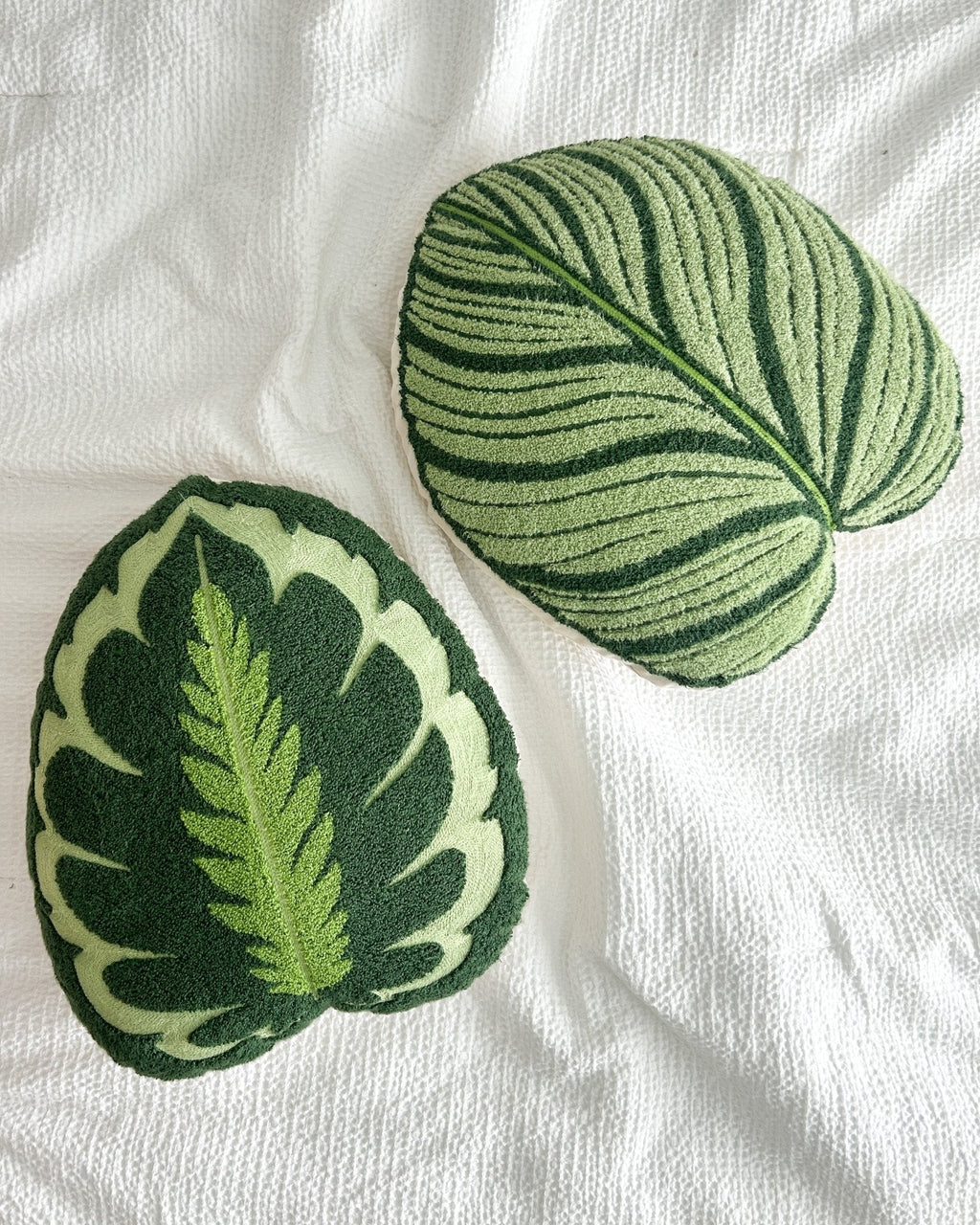 Tufted Calathea Medallion Leaf Pillow