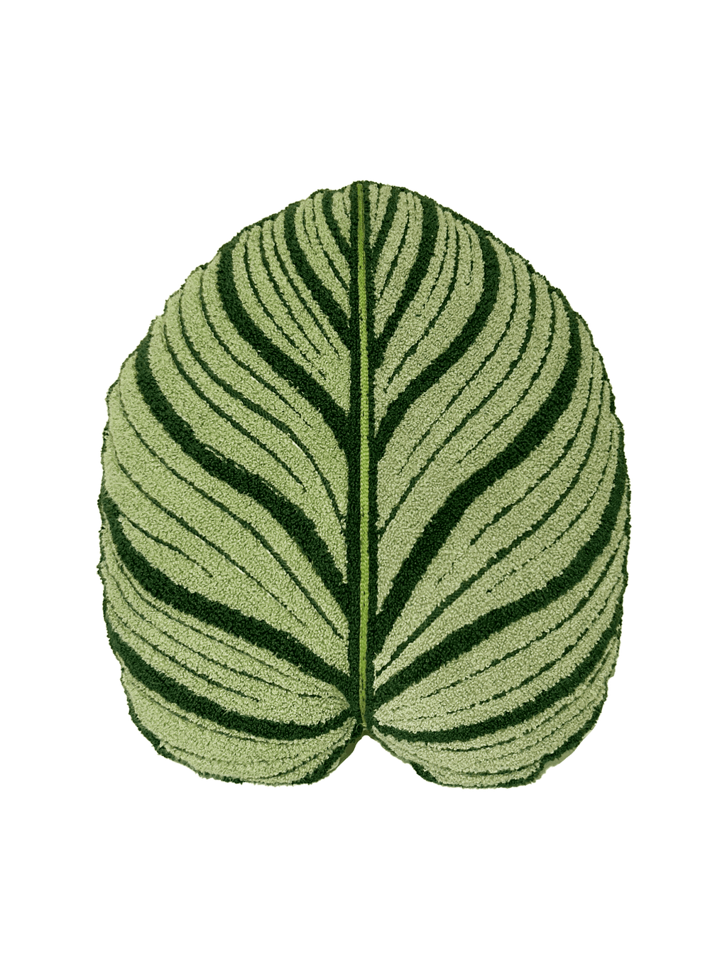 Tufted Calathea Orbifolia Leaf Pillow